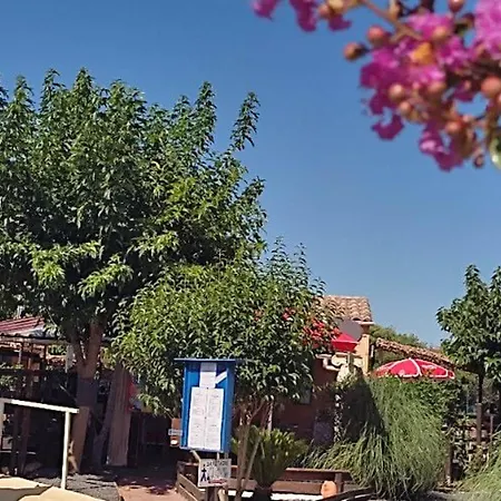 Kemping Mobil-home A - Terrasse - Api-1-52-443