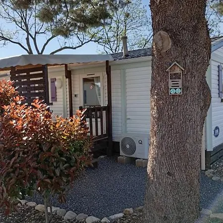 Mobil-home A - Terrasse - Api-1-52-443 Кемпинг *