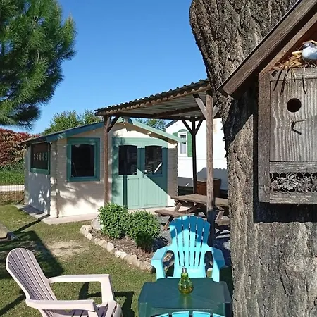 Mobil-home A - Terrasse - Api-1-52-443 *